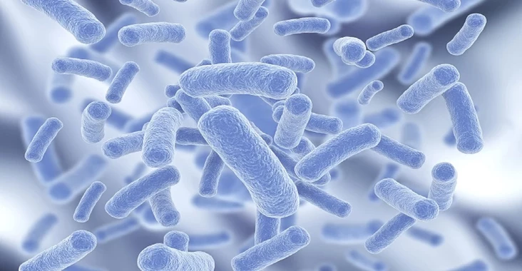 Legionella risk assessment