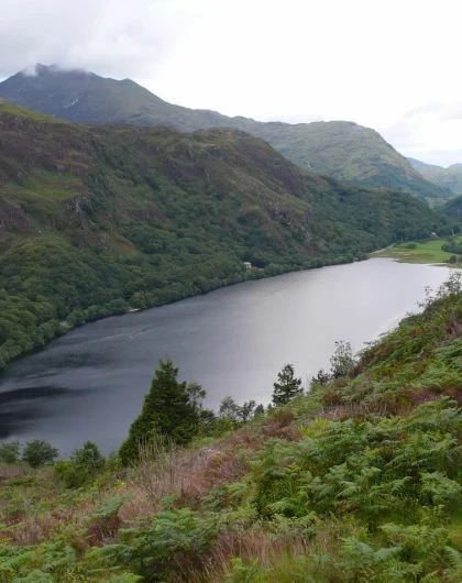 Snowdonia Thumbnail