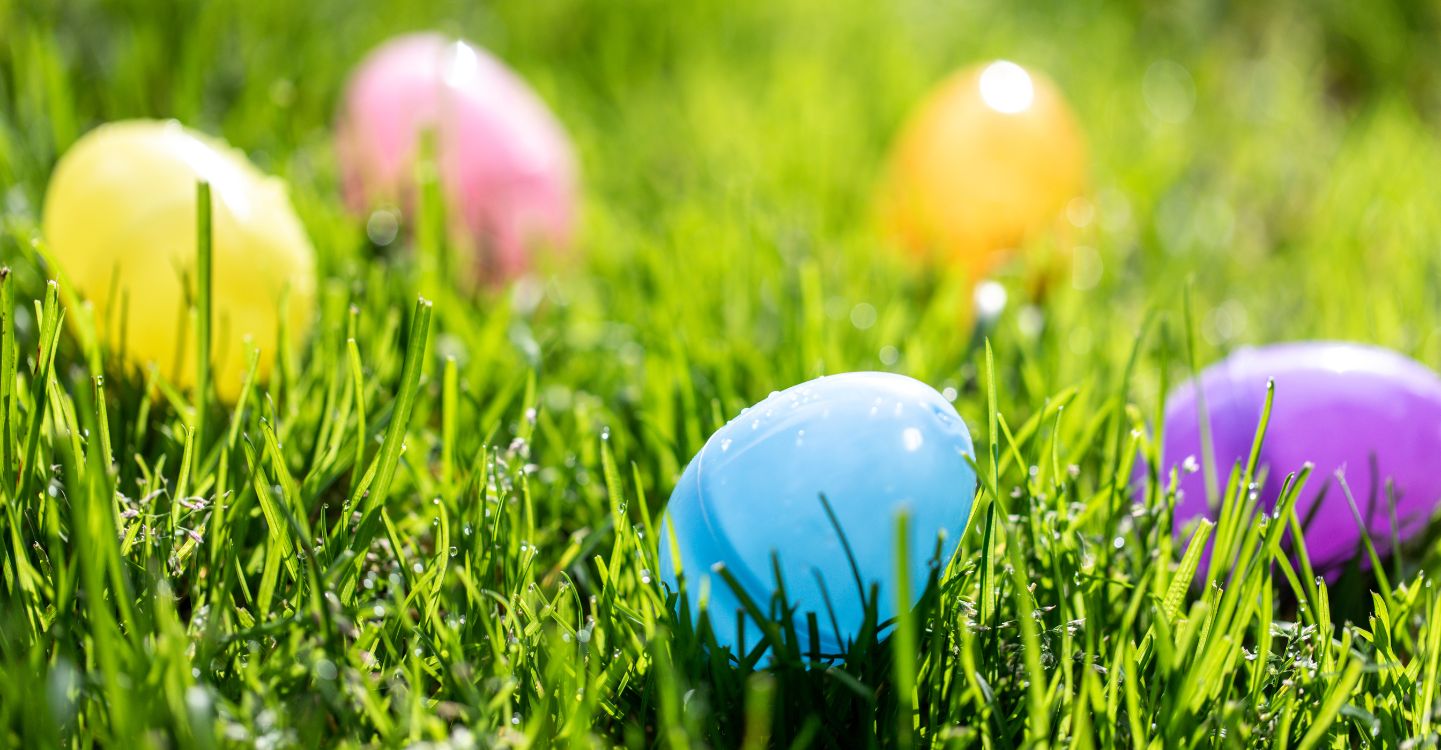 Cracking the Case of Hidden Microplastics in Easter Eggs | SOCOTEC UK