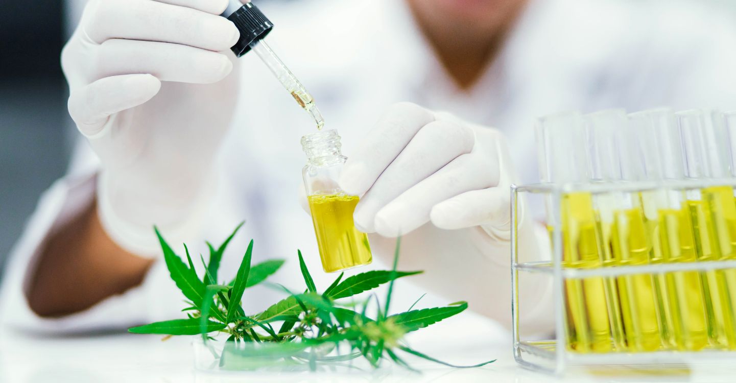 The Importance of Lab Testing for Medicinal Cannabis Products | SOCOTEC UK