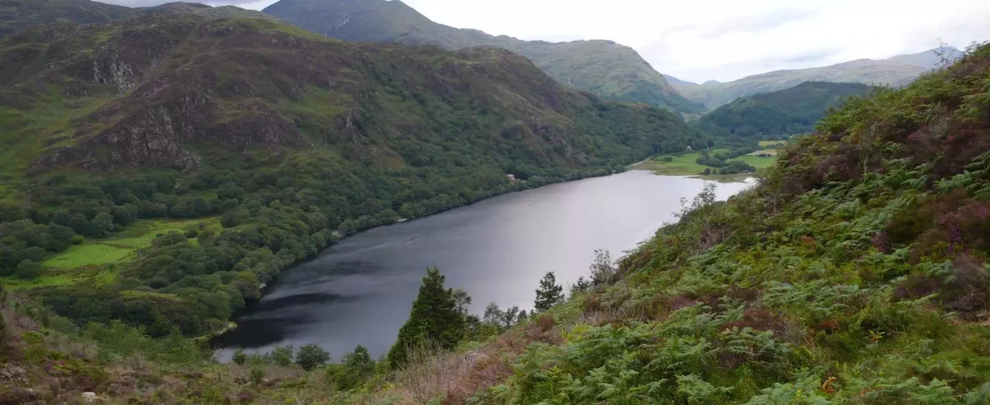 Snowdonia Header